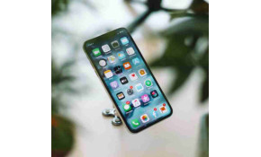 Les réseaux sociaux qui veulent sauver la planète Les réseaux sociaux qui veulent sauver la planète