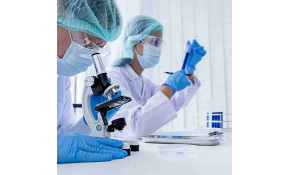 Energie solaire : une révolution avec le graphène et la molybdénite? Energie solaire : une révolution avec le graphène et la molybdénite?