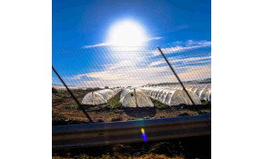 Associer efficacement l'énergiculture à l'agriculture